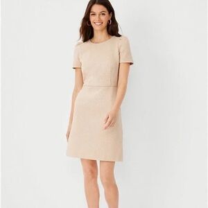 Ann Taylor Geo Flare Dress - Whiskey Cream